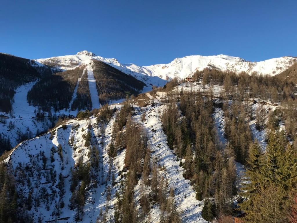 Magnifique 2 Pieces Proche Place D'Auron Exterior foto